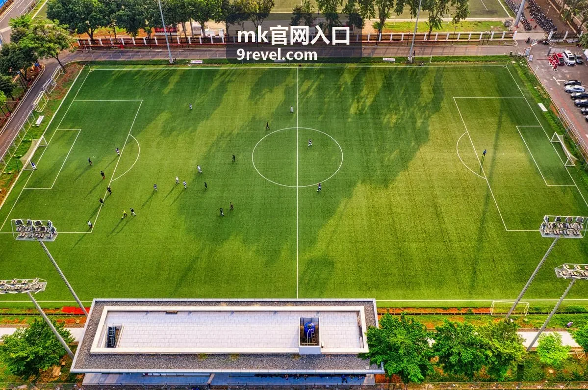 MK官网入口标识释义与视觉理念图