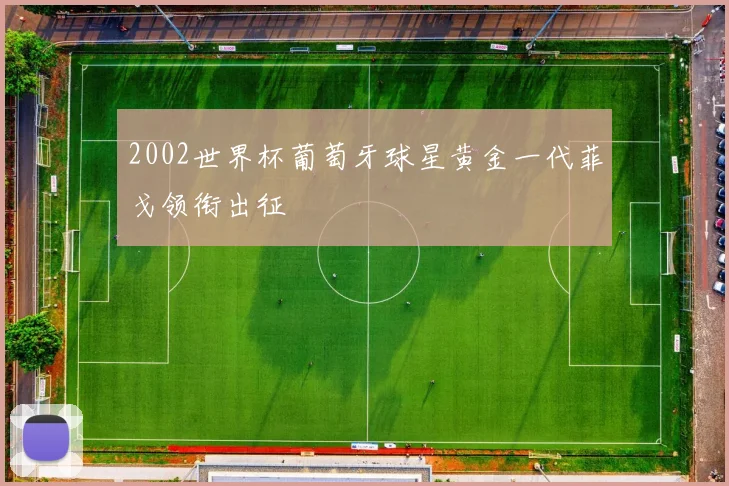 2002世界杯葡萄牙球星黄金一代菲戈领衔出征